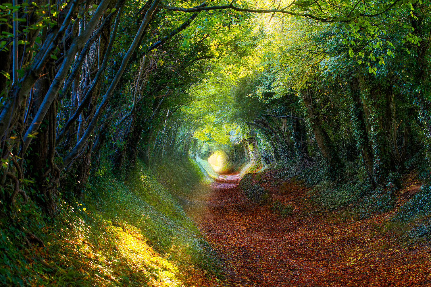 Ancient Roads — Halnaker (West Sussex)
