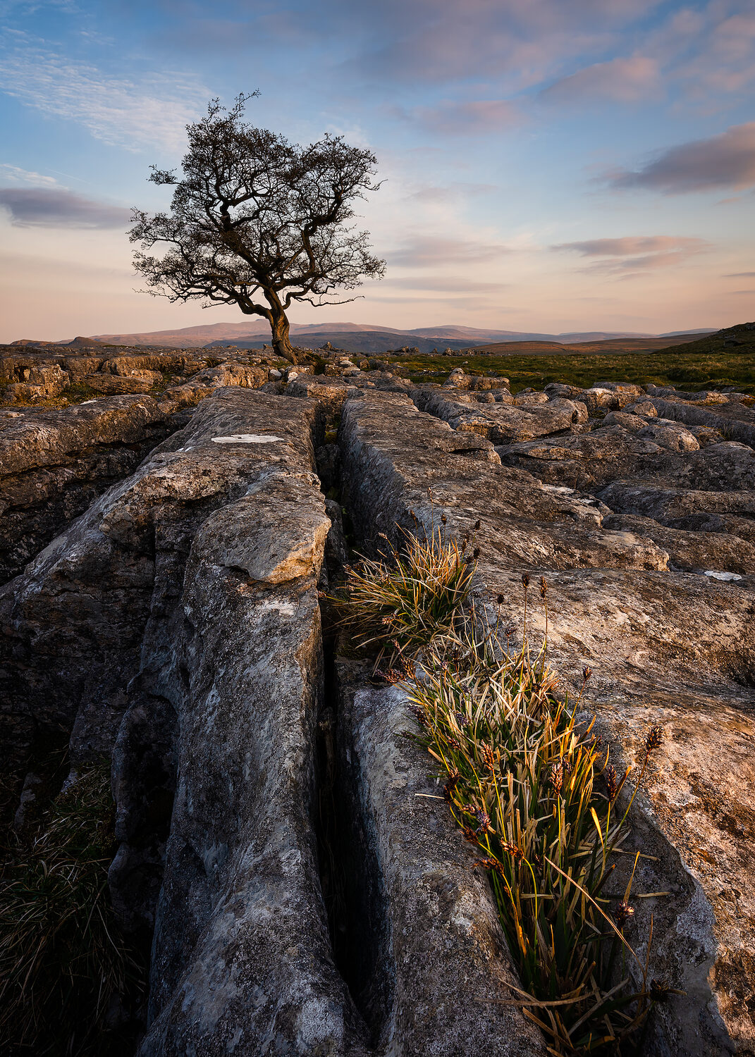 Resilience - Yorkshire