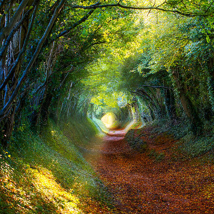 Ancient Roads — Halnaker (West Sussex)