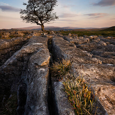 Resilience - Yorkshire