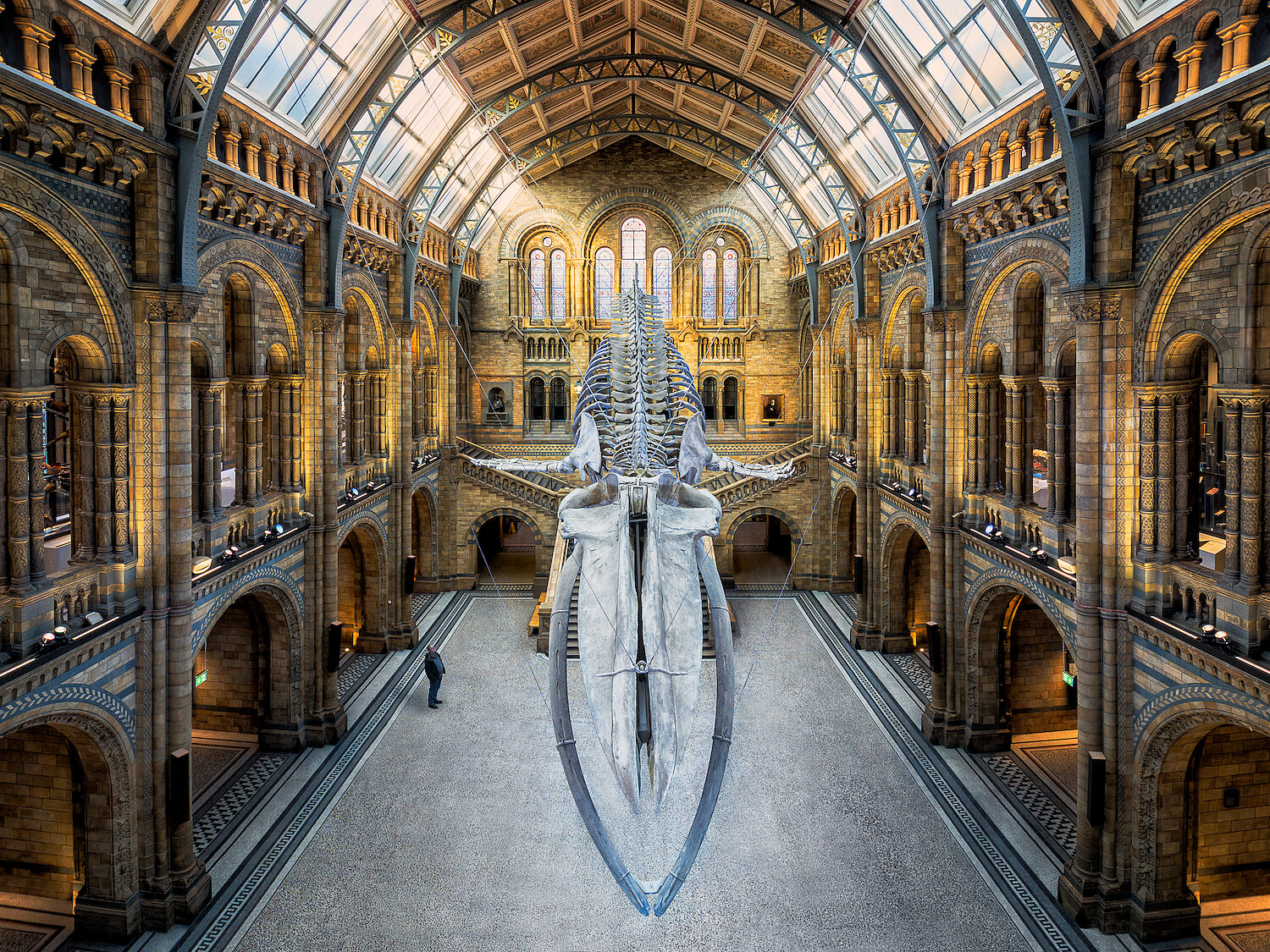 The Old Man and the Whale